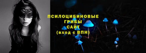 ГАЛЛЮЦИНОГЕННЫЕ ГРИБЫ Снежинск