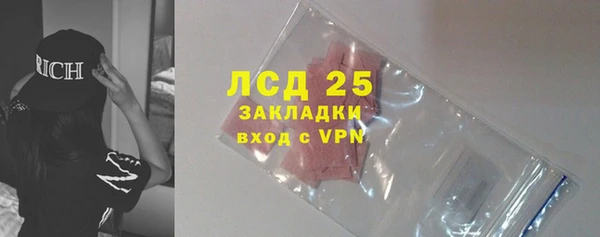 хмурый Снежногорск