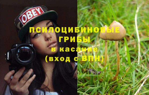 ГАЛЛЮЦИНОГЕННЫЕ ГРИБЫ Снежинск