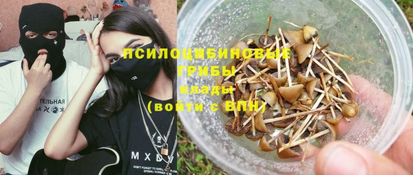 хмурый Снежногорск