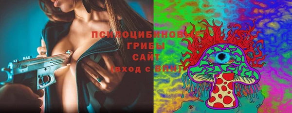МДПВ Сосновоборск