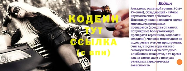 хмурый Снежногорск
