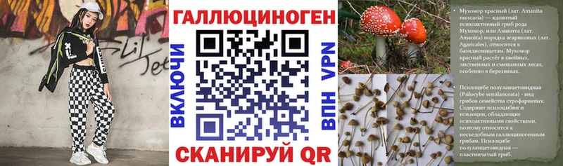 как найти   Владикавказ  Псилоцибиновые грибы GOLDEN TEACHER 
